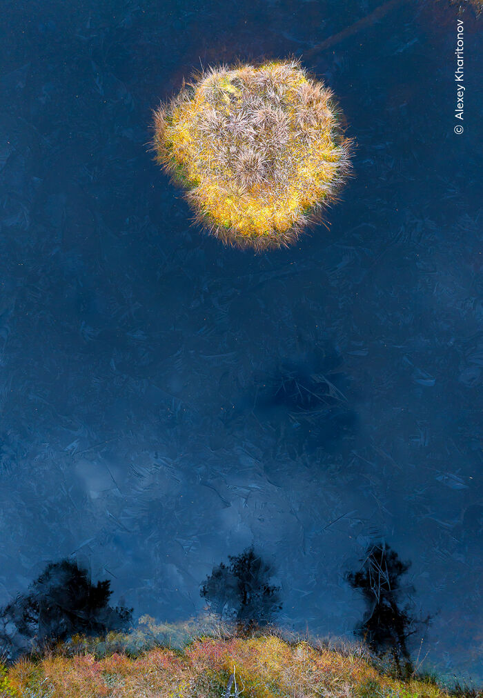 “Taiga Moon” By Alexey Kharitonov