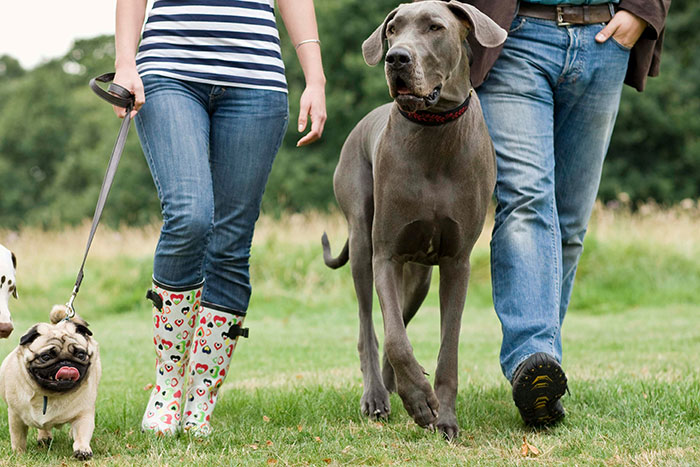 The Wildest Pet Smarts Stories You Won’t Believe Are Real