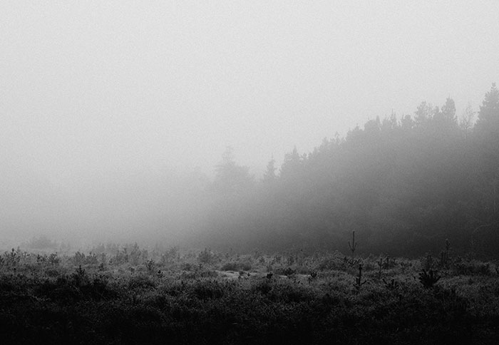 Wait, They Really Survived Death? 58 People Spill The Wildest Stories