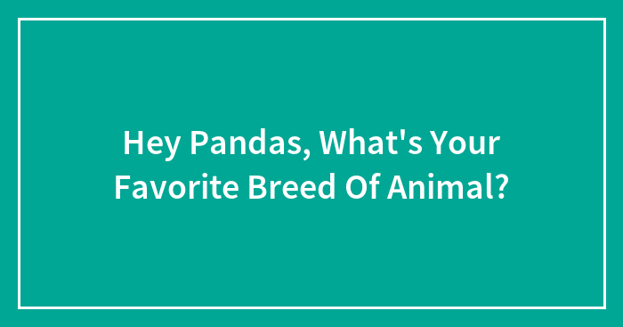 Pick Your Animal Besties! (Yep, You Can Choose More Than One)