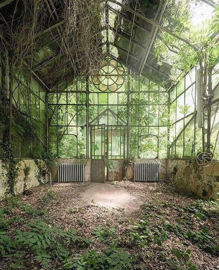 A Greenhouse Left To Party With The Plants (In Italy)