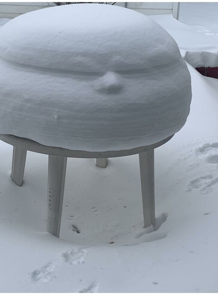 Even My Table Is Annoyed by All This Snow