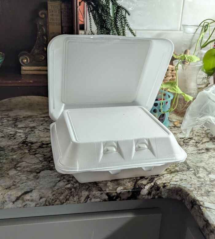 Vampire Takeout Box Side-Eyes My Blood Oranges