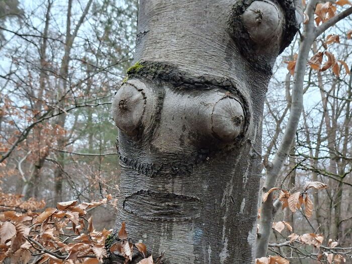 Wait, Your Toaster’s Judging You? 50+ Objects That Secretly Have Faces!