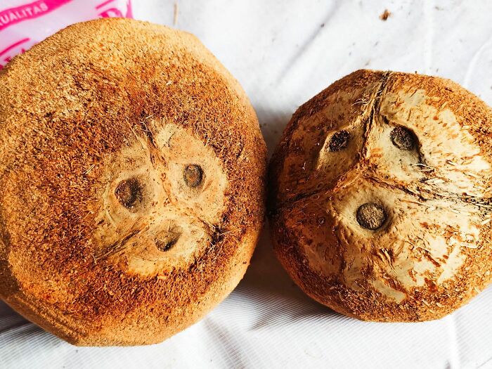 Wait, Your Toaster’s Judging You? 50+ Objects That Secretly Have Faces!