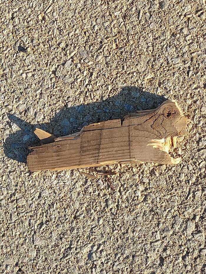 Wait, Your Toaster’s Judging You? 50+ Objects That Secretly Have Faces!