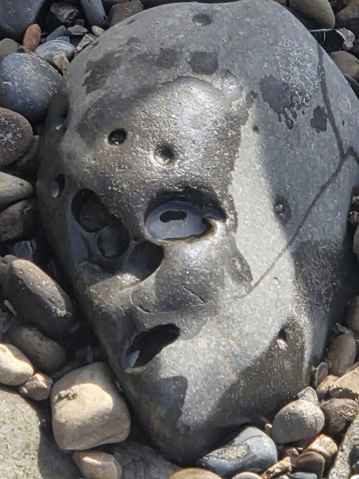 Wait, Your Toaster’s Judging You? 50+ Objects That Secretly Have Faces!