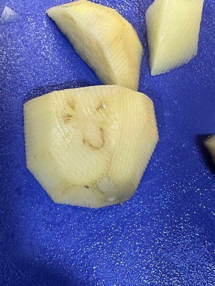 Wait, Your Toaster’s Judging You? 50+ Objects That Secretly Have Faces!