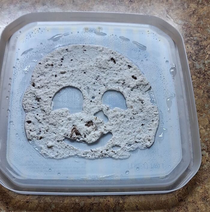 Wait, Your Toaster’s Judging You? 50+ Objects That Secretly Have Faces!