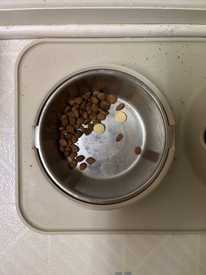 Wait, Your Toaster’s Judging You? 50+ Objects That Secretly Have Faces!