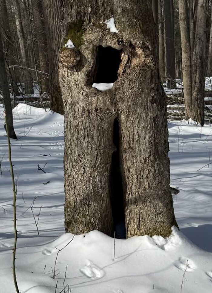 Wait, Your Toaster’s Judging You? 50+ Objects That Secretly Have Faces!
