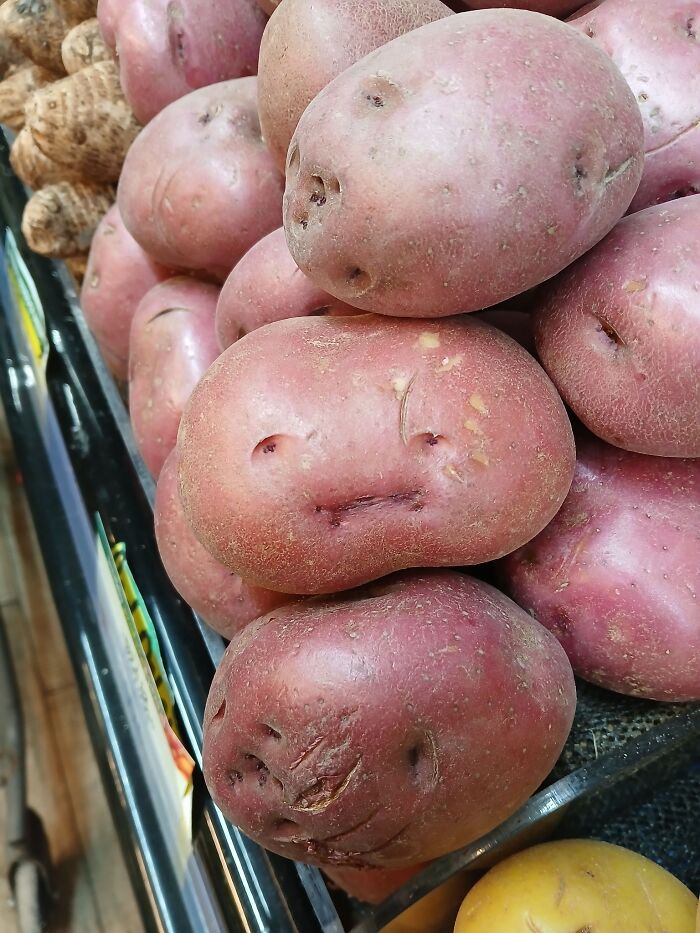 Wait, Your Toaster’s Judging You? 50+ Objects That Secretly Have Faces!