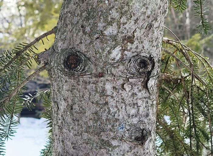 Wait, Your Toaster’s Judging You? 50+ Objects That Secretly Have Faces!
