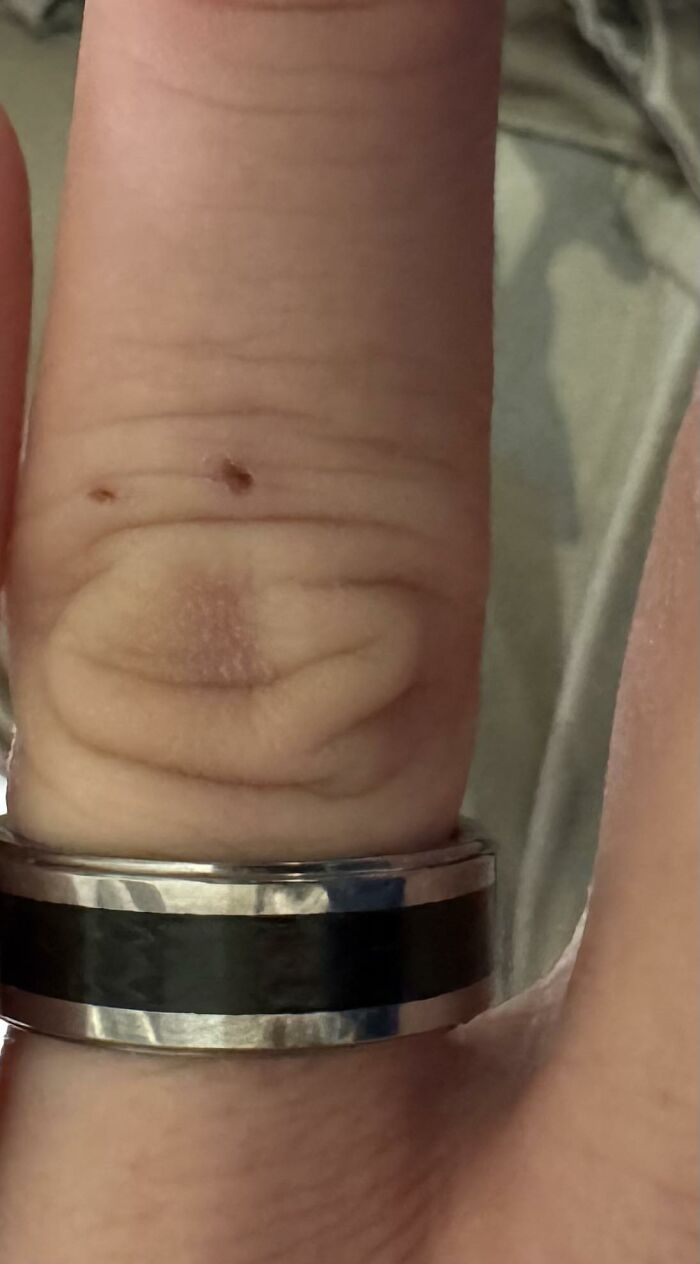 Wait, Your Toaster’s Judging You? 50+ Objects That Secretly Have Faces!