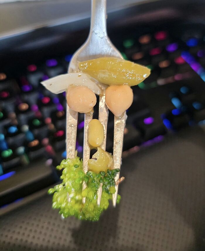 Wait, Your Toaster’s Judging You? 50+ Objects That Secretly Have Faces!