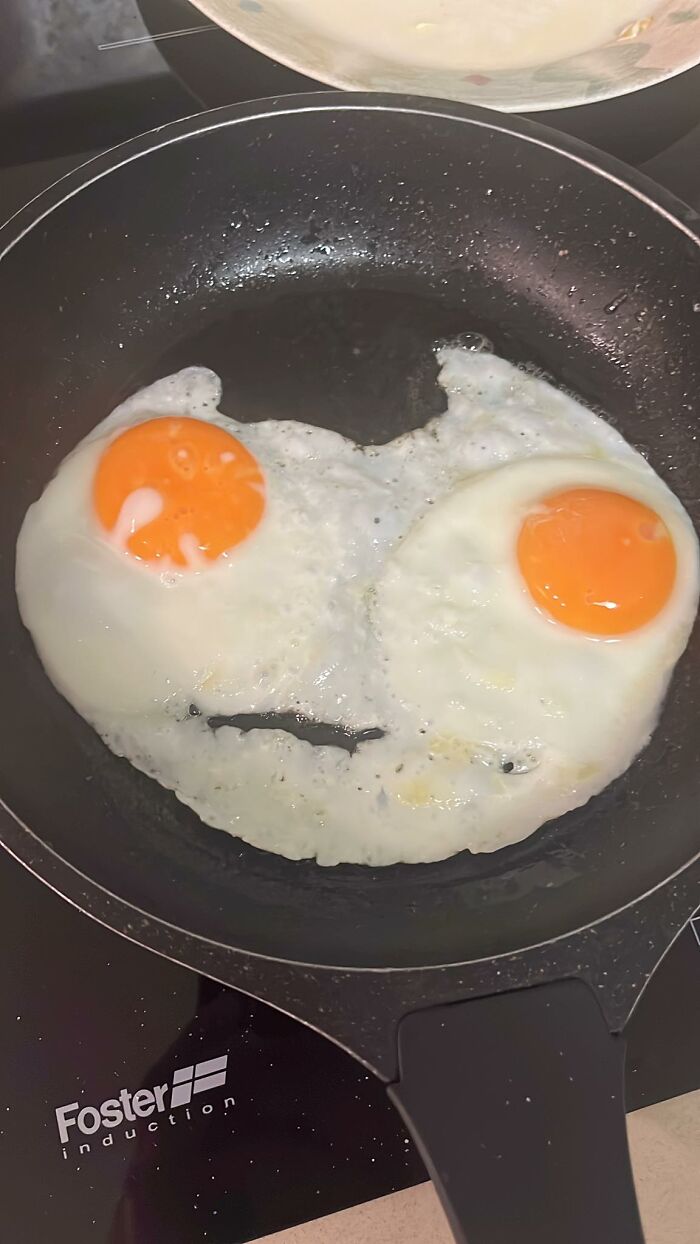 Wait, Your Toaster’s Judging You? 50+ Objects That Secretly Have Faces!