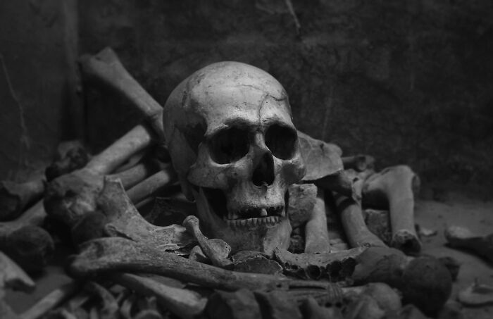 Wait, They Dug Up THAT?! Creepy Archaeology Finds That’ll Give You the Heebie-Jeebies