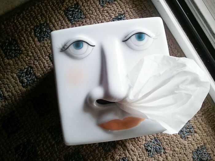 Mom Loves This Thrift Store Find. I’m Still On The Fence.