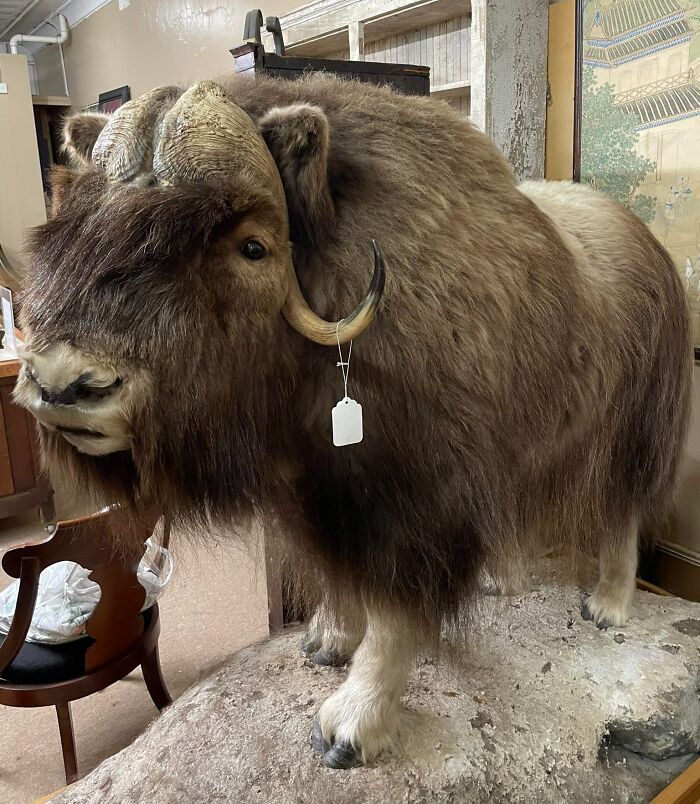 Weird Thing Seen In Burgaw, NC