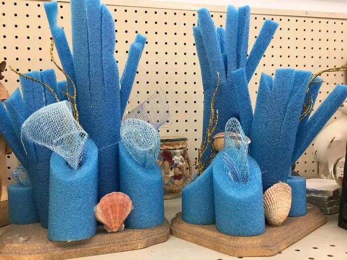 Local Second-Hand Shop Got Creative With This One