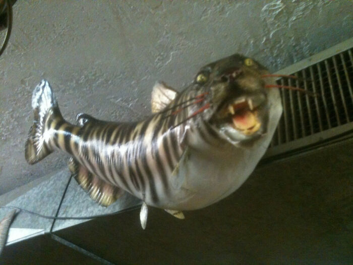 Found This While Browsing. Price? $300. Nope.