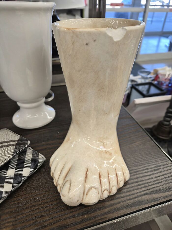 Left For The Next Lucky Thrifter At Goodwill Near Denver