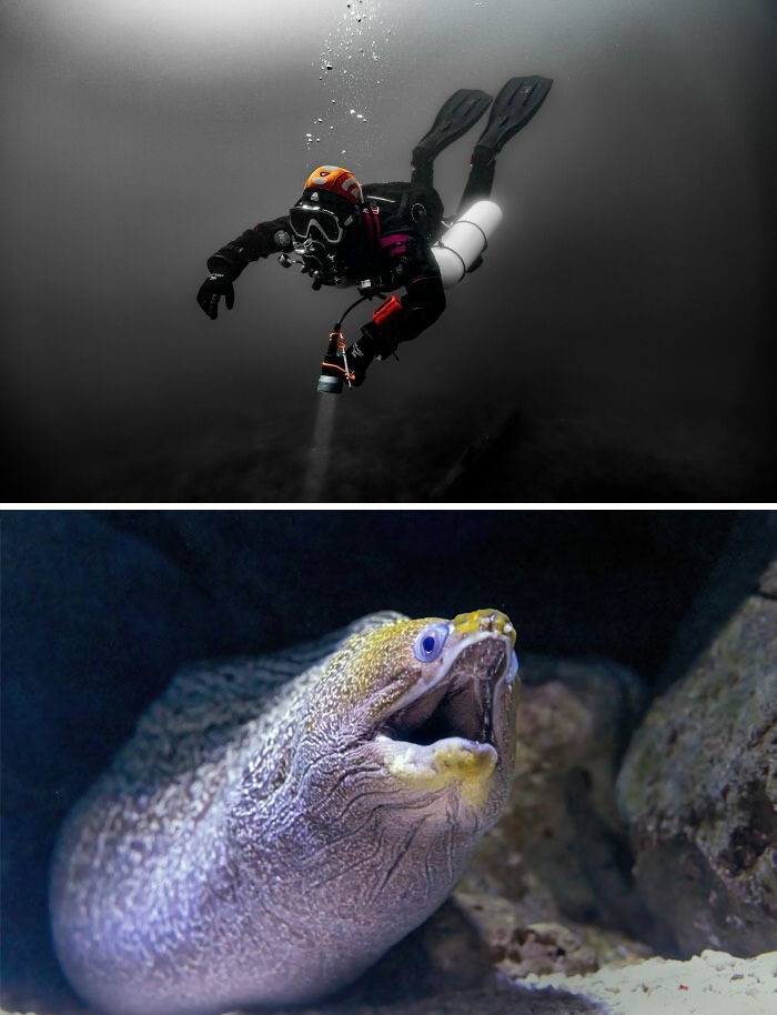 Wait, People Who Work With The Dead Shared Their Wildest, Weirdest Stories!