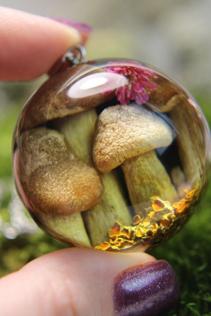 Wait, This Artist Turned Tiny Forest Bits Into Mind-Blowing Optical Art?