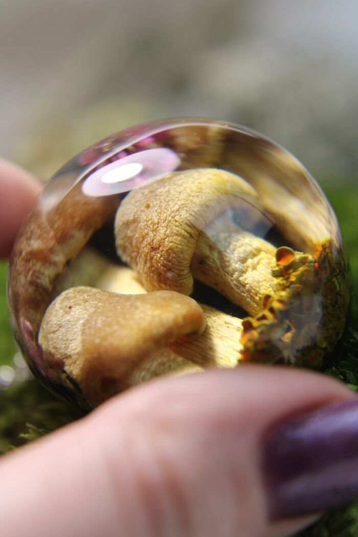 Wait, This Artist Turned Tiny Forest Bits Into Mind-Blowing Optical Art?