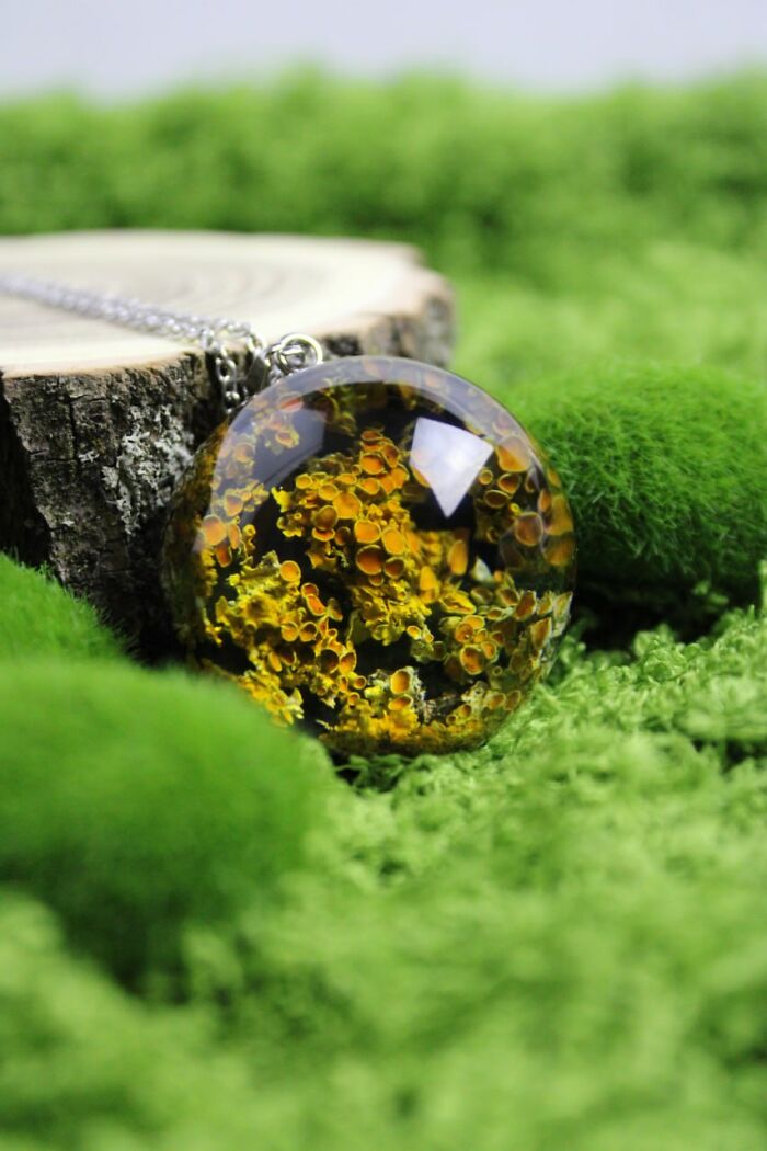 Wait, This Artist Turned Tiny Forest Bits Into Mind-Blowing Optical Art?