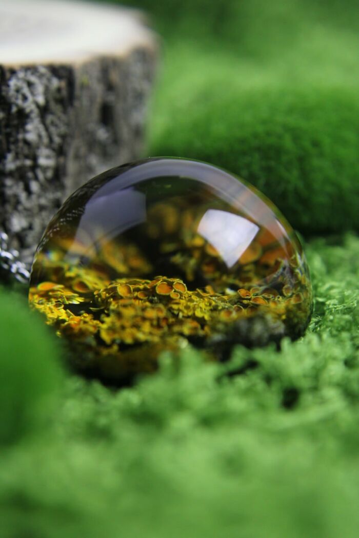 Wait, This Artist Turned Tiny Forest Bits Into Mind-Blowing Optical Art?