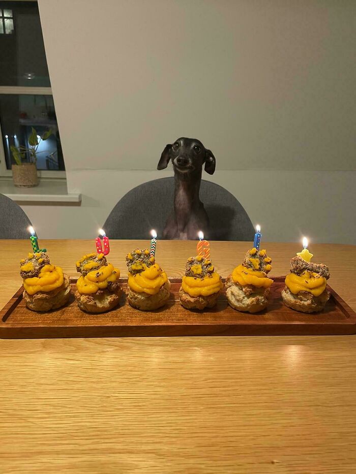 Luigi Turns 6—Party Time!