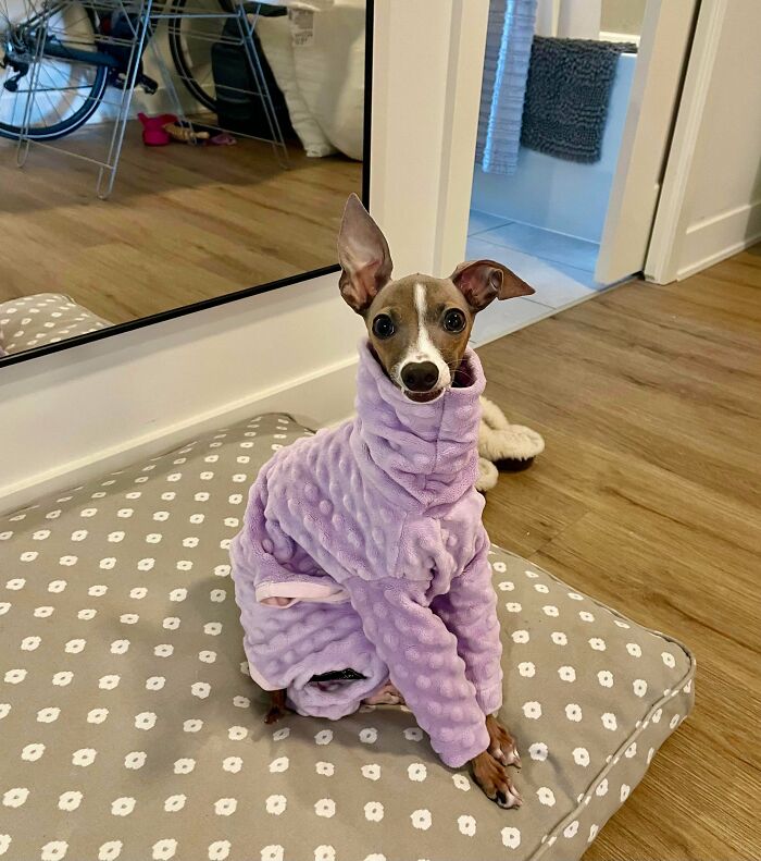 Mama Made Me My First PJ!