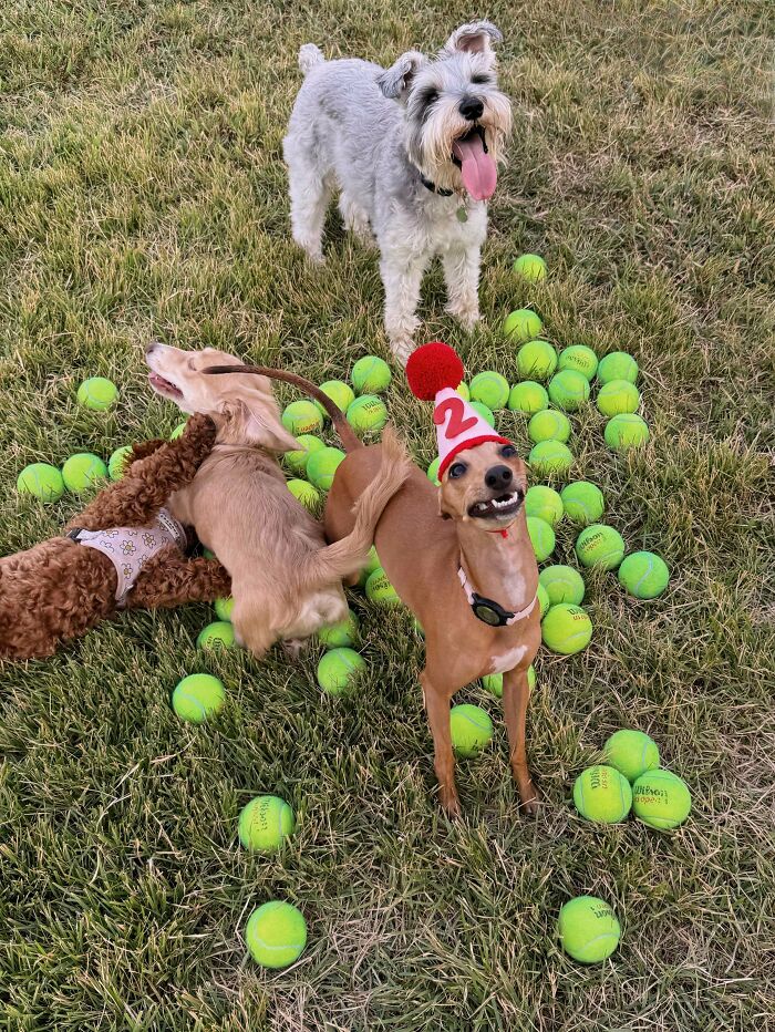 Happy 2nd Birthday, Judy!