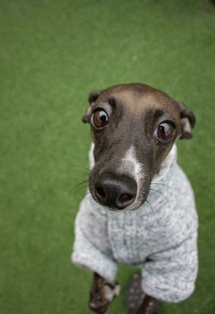 I Wrote a Lullaby for My Boy