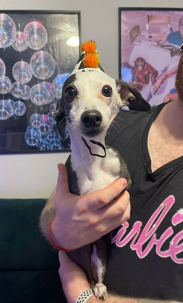 Birthday Shoutout for Cermet!