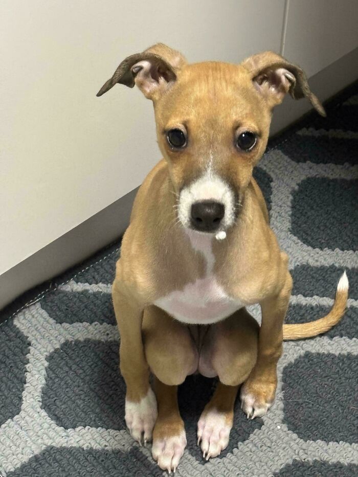 Sitting Like a Quirky Noodle