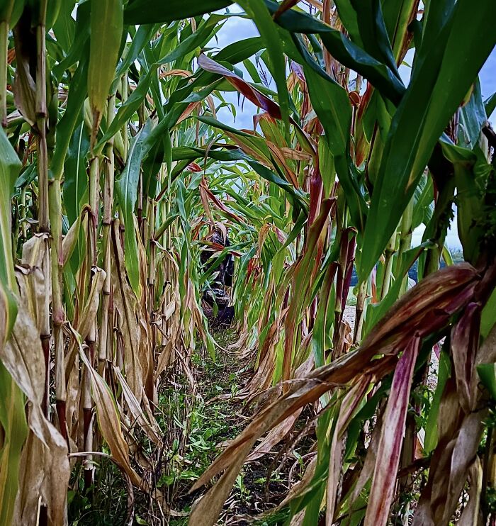 Wait, They Actually Took Pics Of These Weird, In-Between Places?!