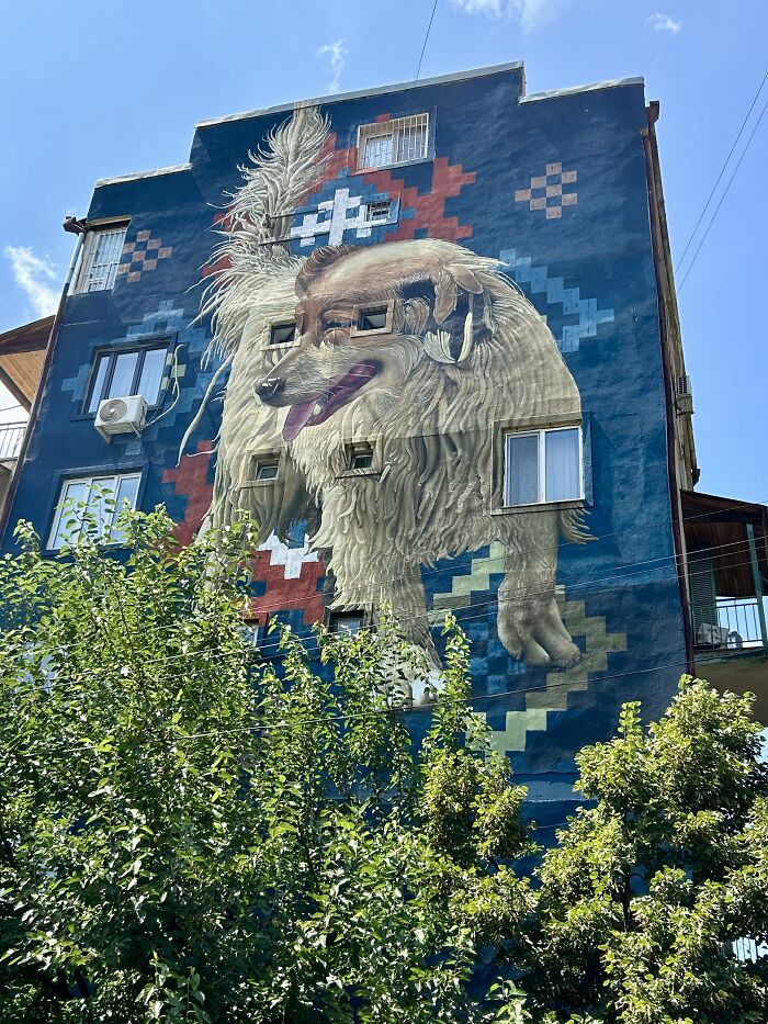 Check Out These Awesome Street Art Finds in Tbilisi!