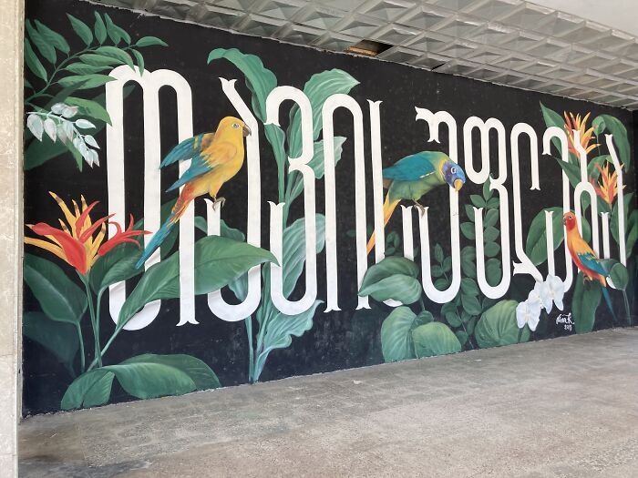 Check Out These Awesome Street Art Finds in Tbilisi!