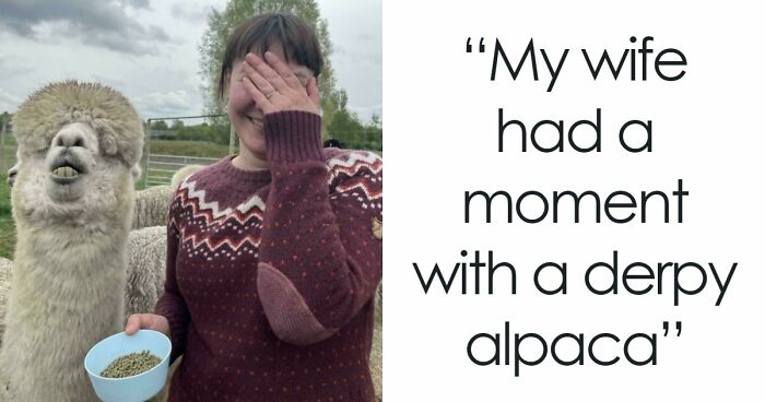 30 Animals Caught Being Goofier Than Anyone Expected