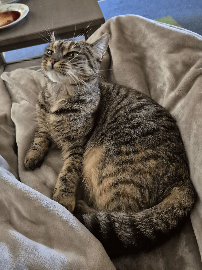 30 Animals Caught Being Goofier Than Anyone Expected