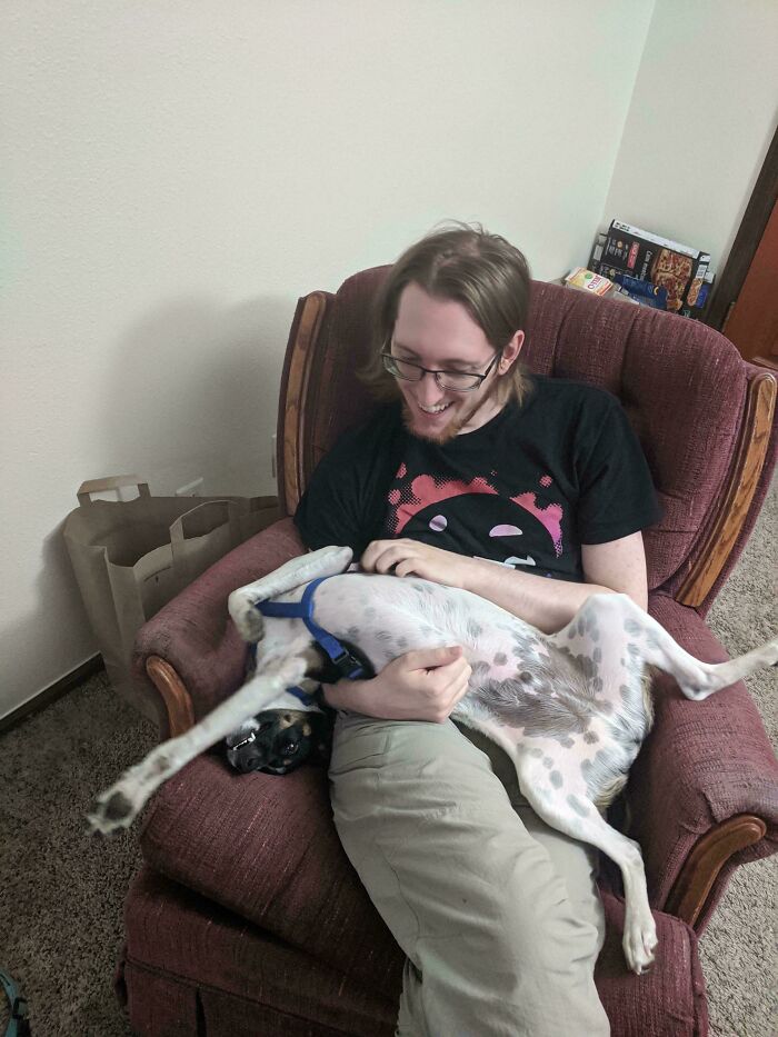 30 Animals Caught Being Goofier Than Anyone Expected