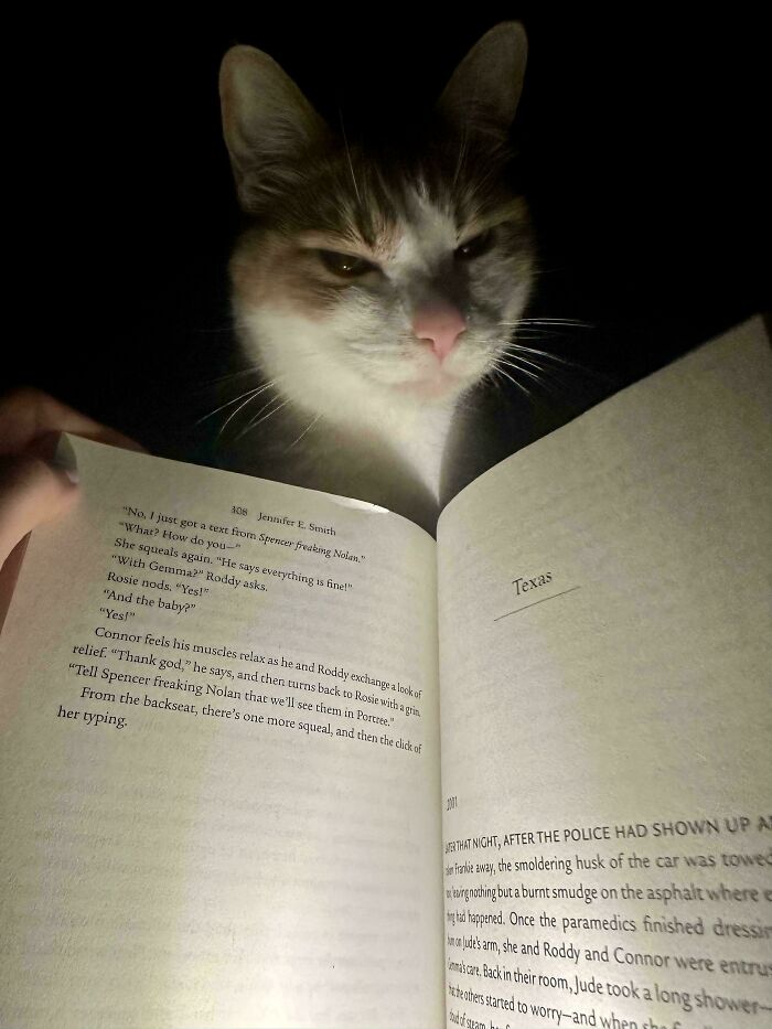 30 Animals Caught Being Goofier Than Anyone Expected