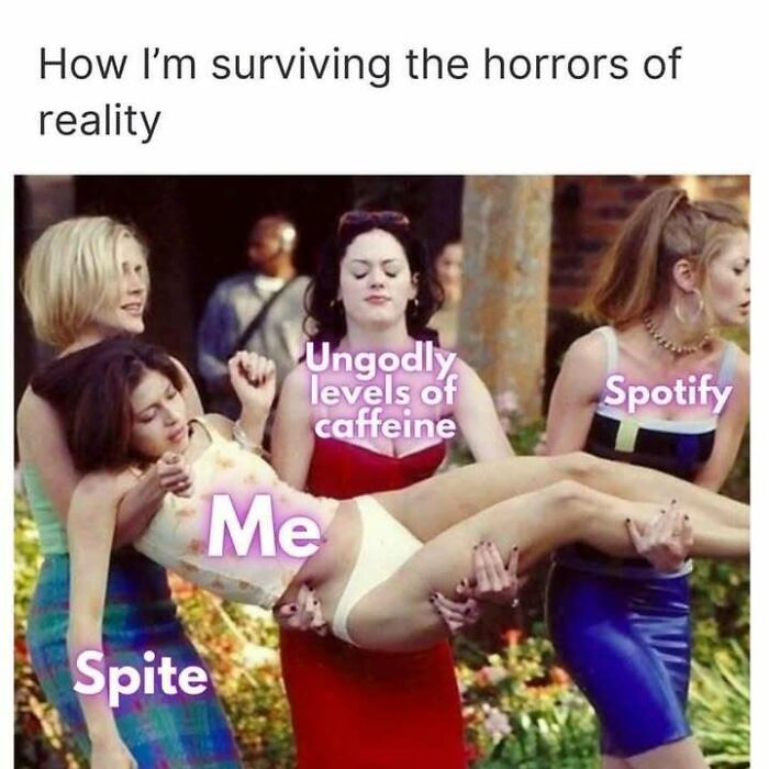 Wait, They Actually Ranked Dark Humor Memes? Yep, and They're Hilariously Twisted!