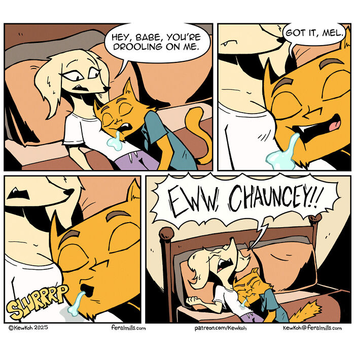 This Bunny's Love Life Will Crack You Up and Make You Go "Wait, What?!"