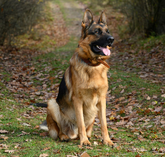 34 Divorce Lawyer Stories That Are So Wild, You’ll Think It’s Made Up