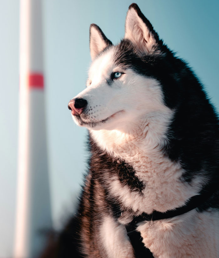 34 Divorce Lawyer Stories That Are So Wild, You’ll Think It’s Made Up