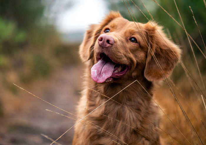 34 Divorce Lawyer Stories That Are So Wild, You’ll Think It’s Made Up