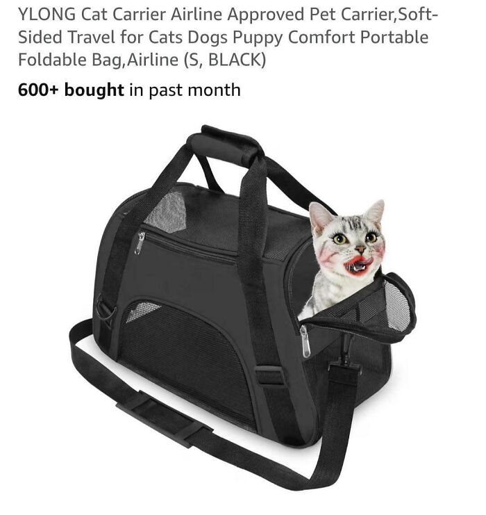 This Cat Carrier Is All Kinds Of Wrong